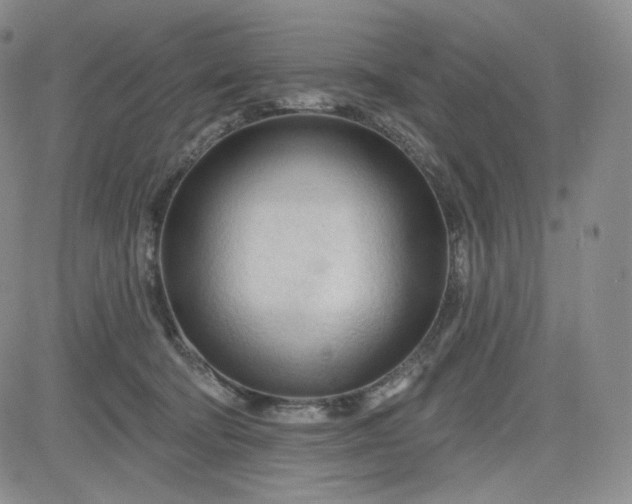 X0000083610322200702260934