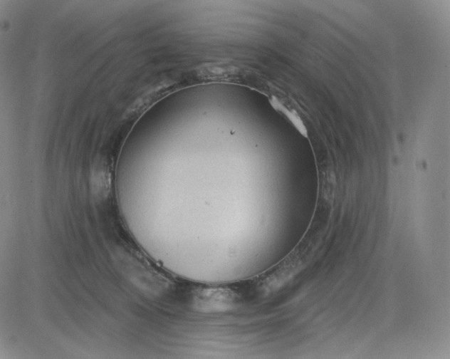 X0000083610324200702260934