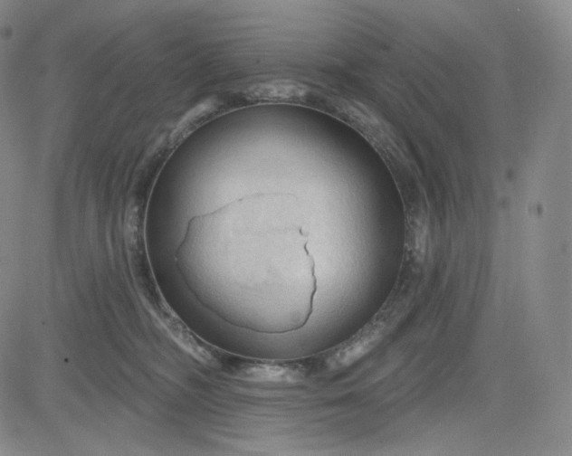 X0000083610326200702260934