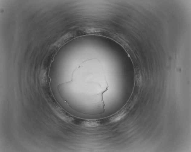 X0000083610327200702260934