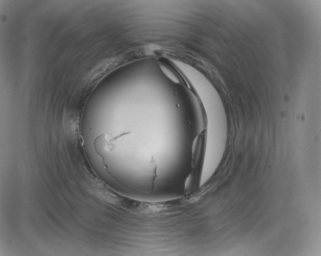 X0000083610329200702260934