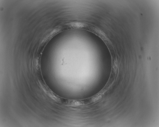 X0000083610330200702260934