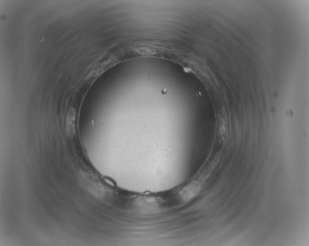 X0000083610332200702260934