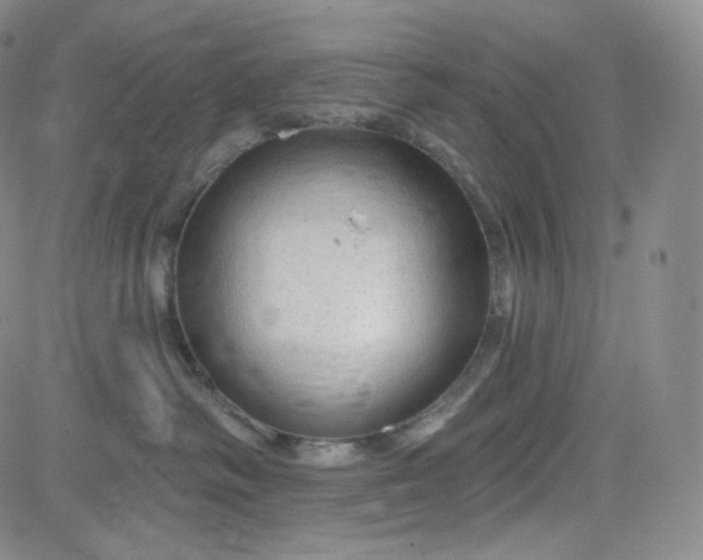 X0000083610334200702260934