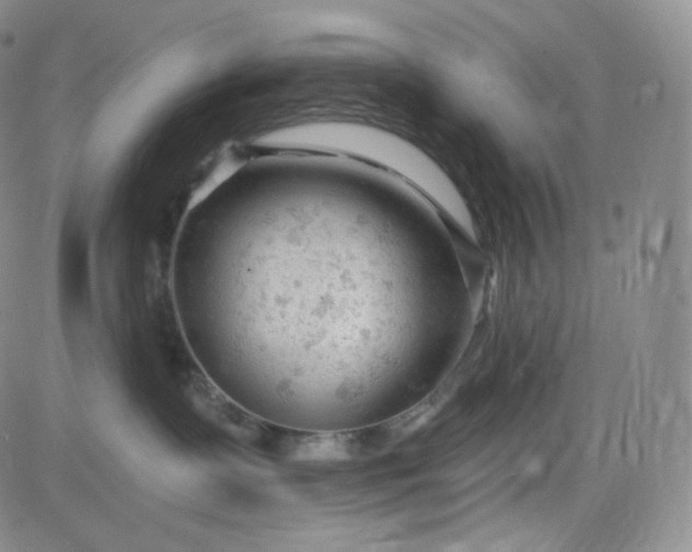 X0000083610335200702260934