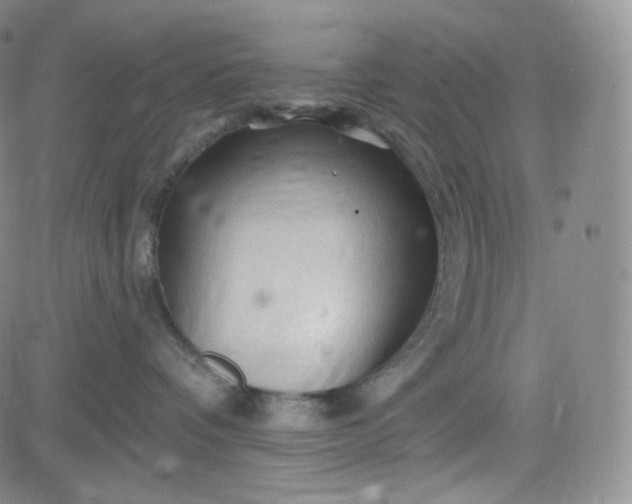 X0000083610336200702260934