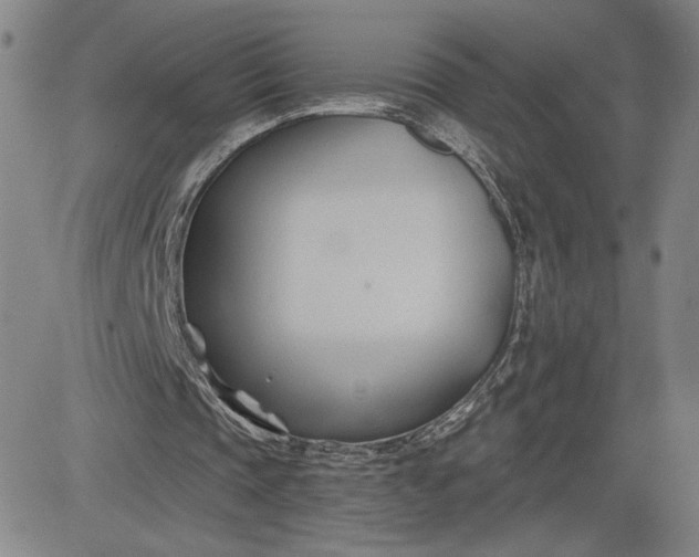 X0000083610337200702260933