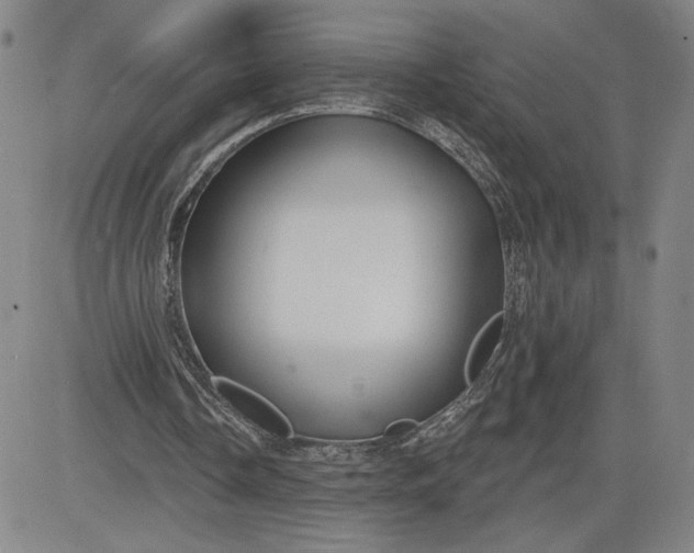 X0000083610338200702260933