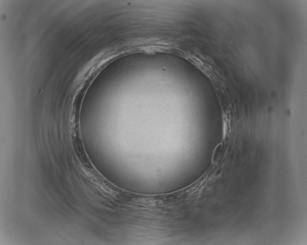 X0000083610339200702260933