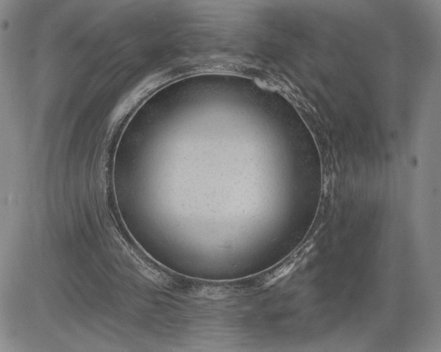 X0000083610341200702260933