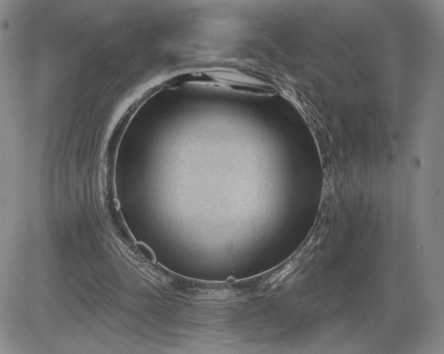 X0000083610342200702260933