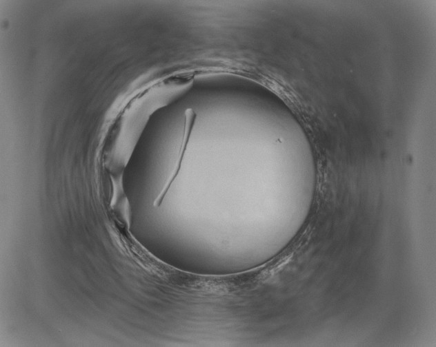 X0000083610343200702260933