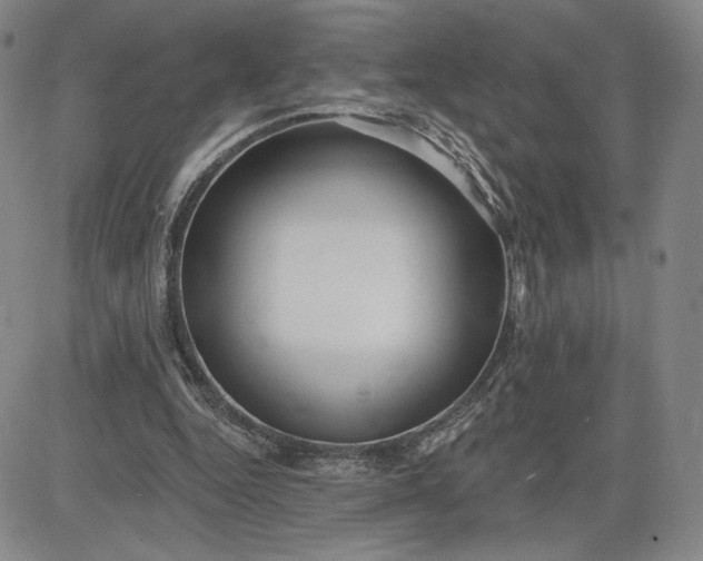 X0000083610344200702260933