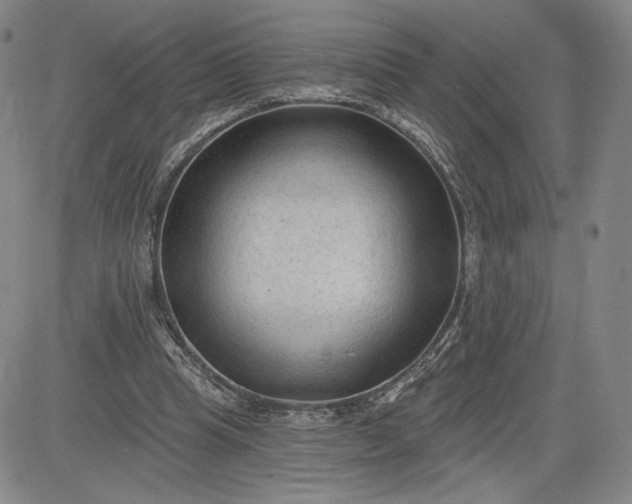 X0000083610345200702260933