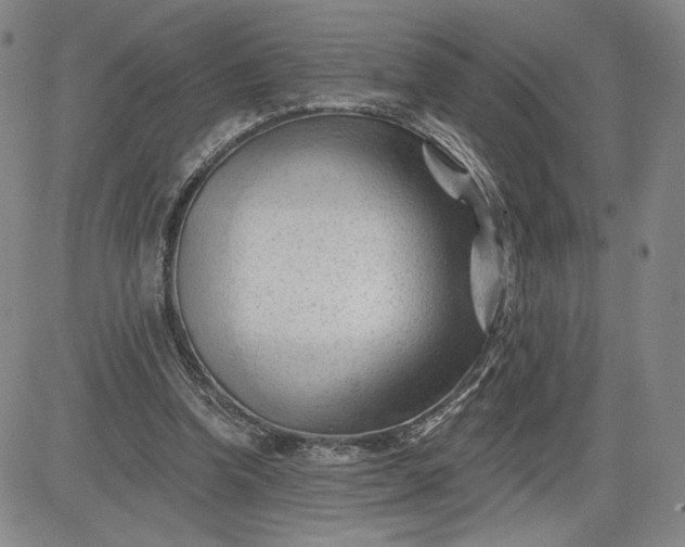 X0000083610346200702260933