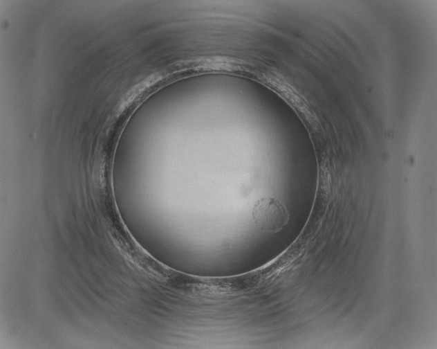 X0000083610347200702260933