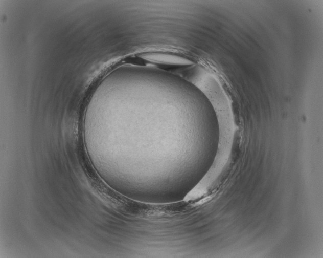 X0000083610348200702260933