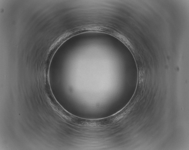 X0000083610349200702260933