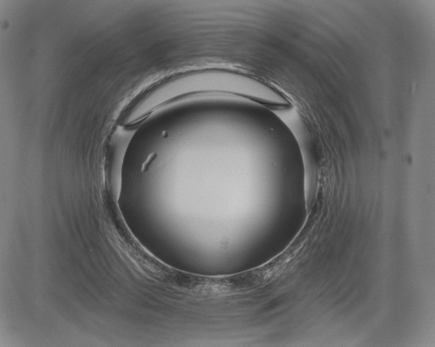 X0000083610350200702260933