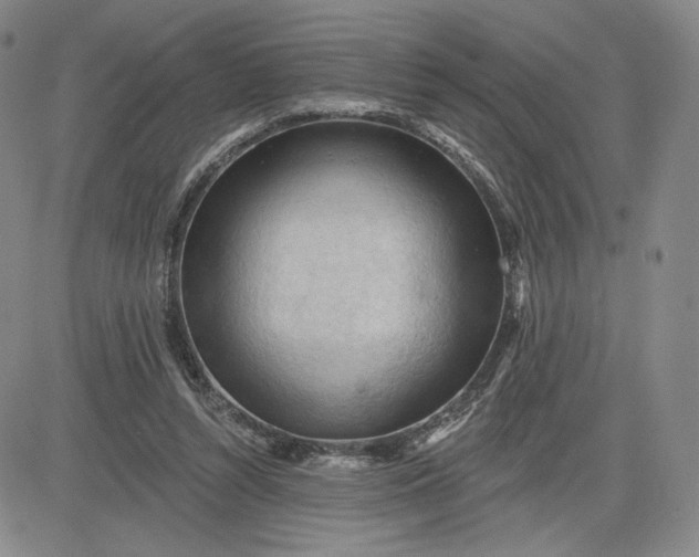 X0000083610352200702260933