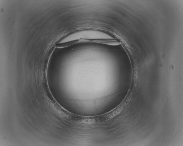 X0000083610353200702260933