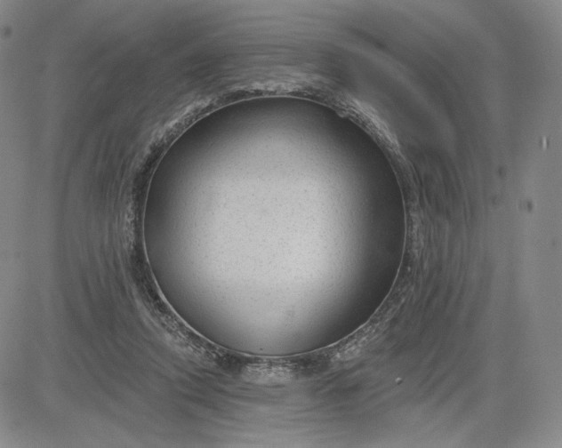 X0000083610354200702260934