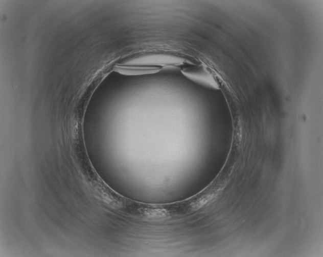 X0000083610355200702260934