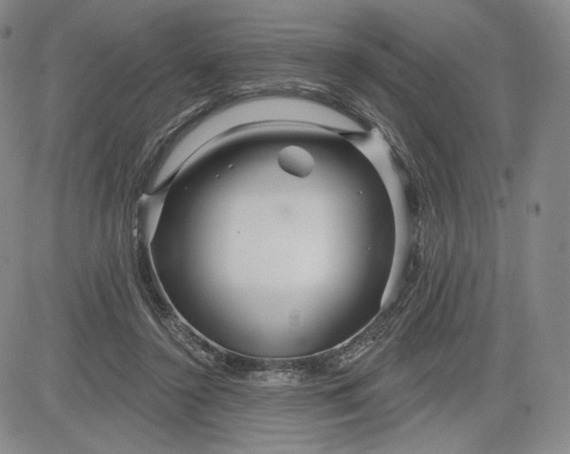 X0000083610356200702260934