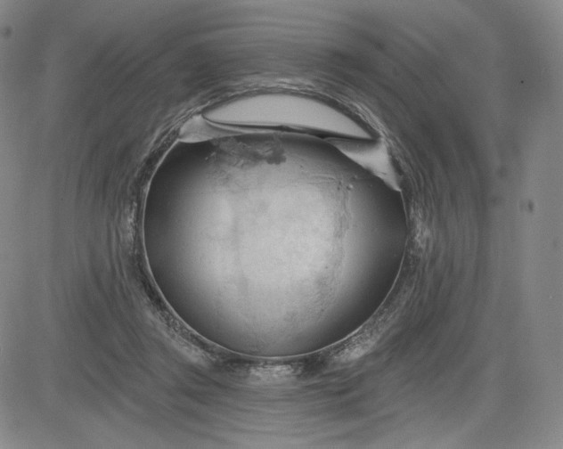 X0000083610357200702260934