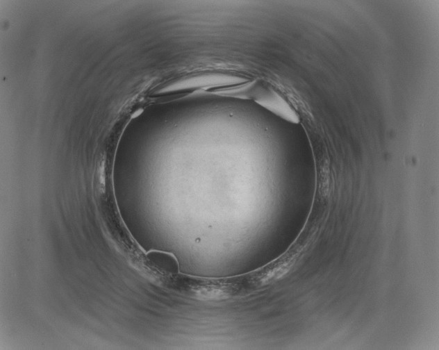 X0000083610358200702260934