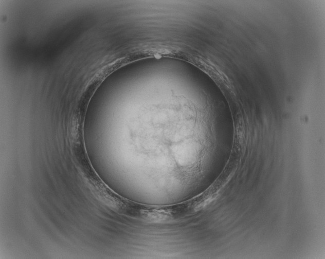 X0000083610359200702260934