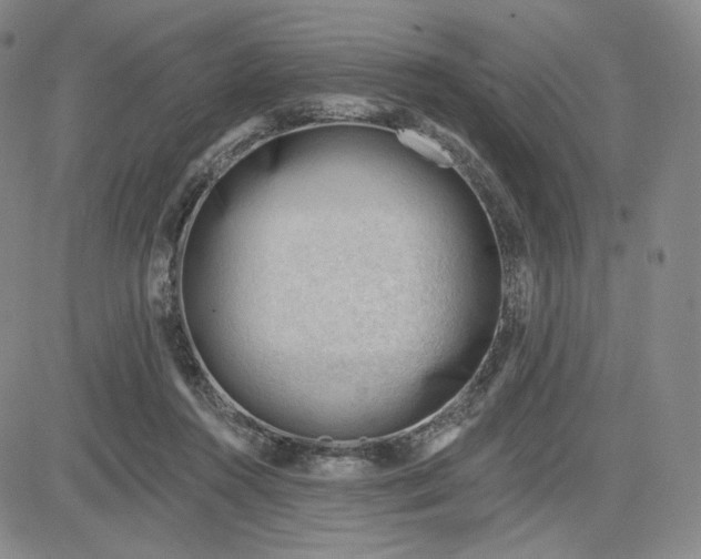 X0000083610360200702260934