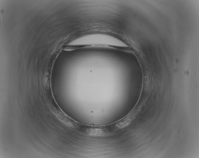 X0000083610361200702260934