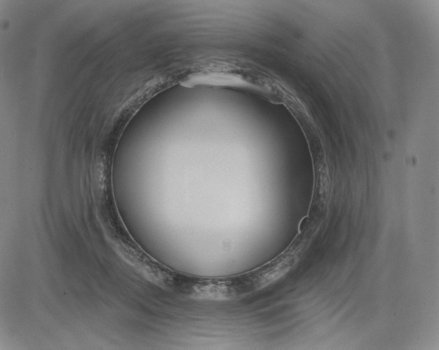 X0000083610362200702260934