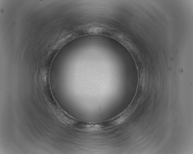 X0000083610363200702260934