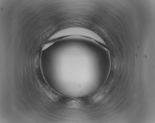 X0000083610364200702260934