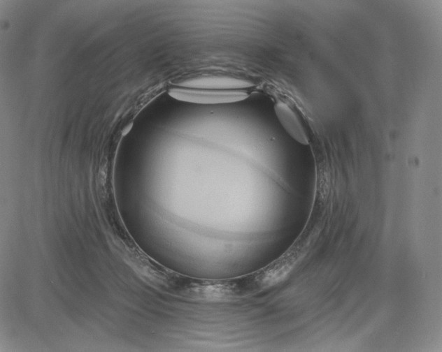 X0000083610365200702260934