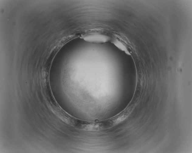 X0000083610366200702260934