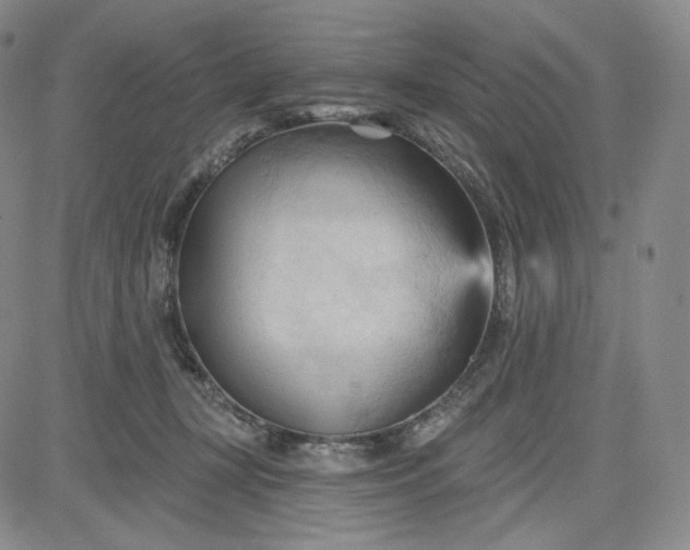 X0000083610367200702260934