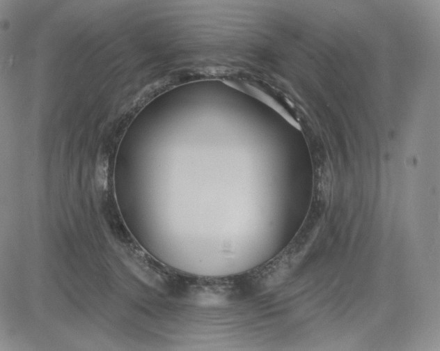 X0000083610368200702260934