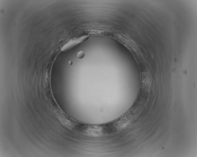 X0000083610369200702260934