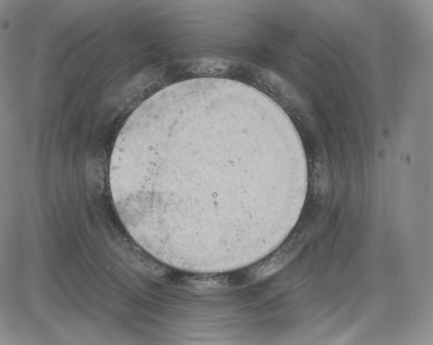 X0000083610370200702260934