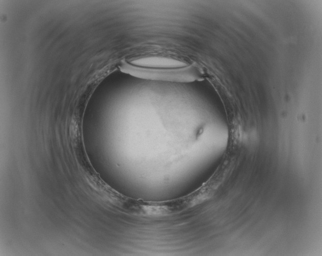 X0000083610371200702260934