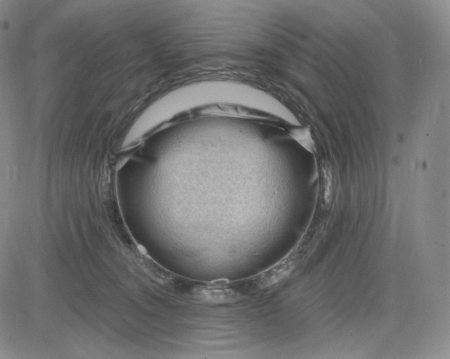 X0000083610372200702260934