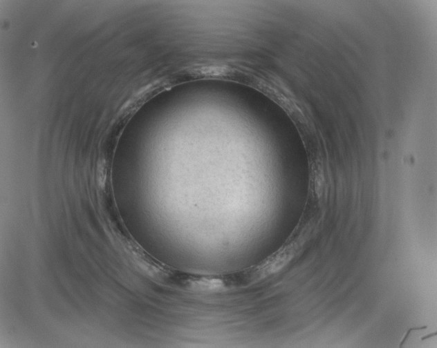 X0000083610374200702260934