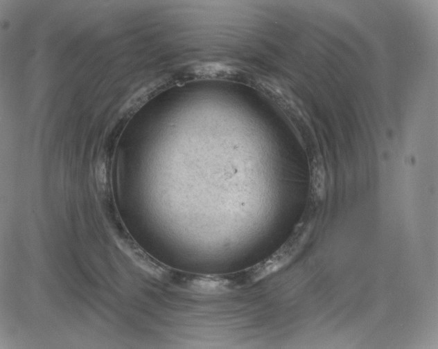 X0000083610375200702260934