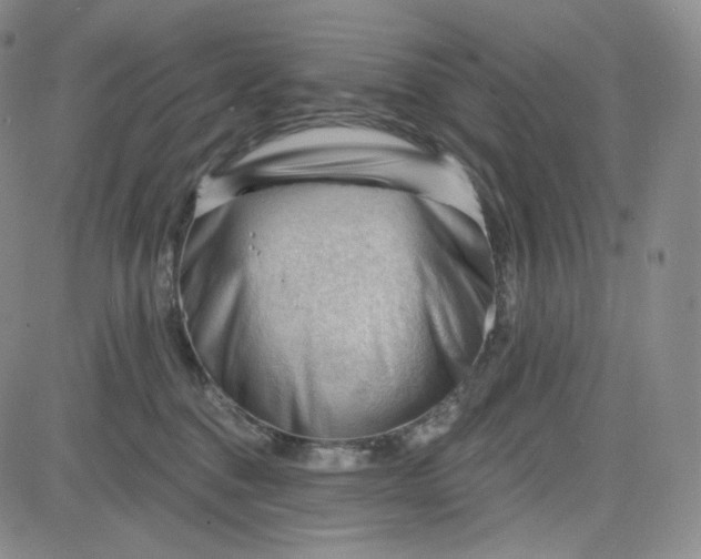 X0000083610376200702260934