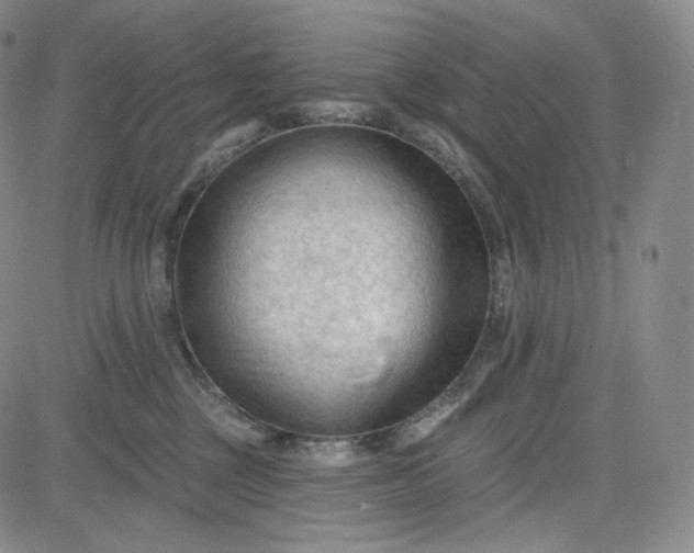 X0000083610377200702260934