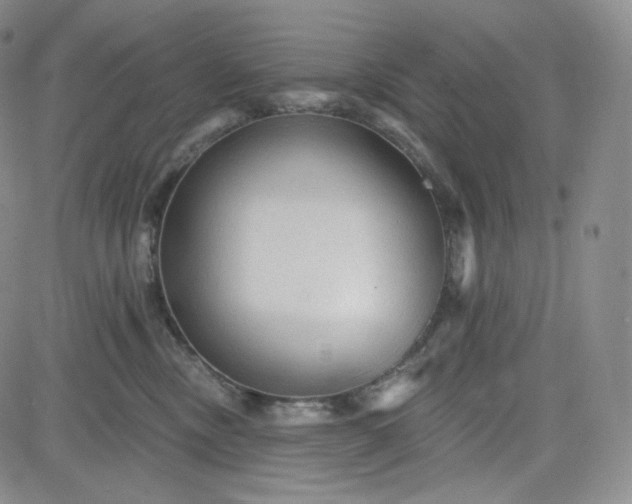 X0000083610378200702260934