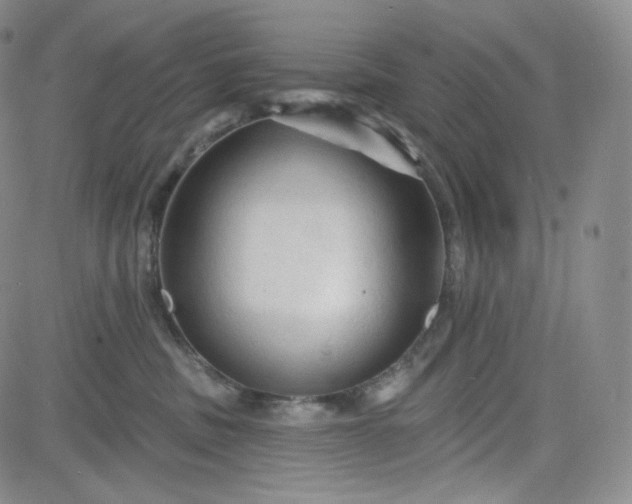 X0000083610379200702260934